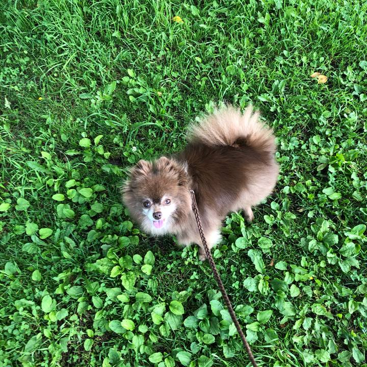 3bb32187 b04b 4c25 92a2 0ee8e4d40132 1626050566408