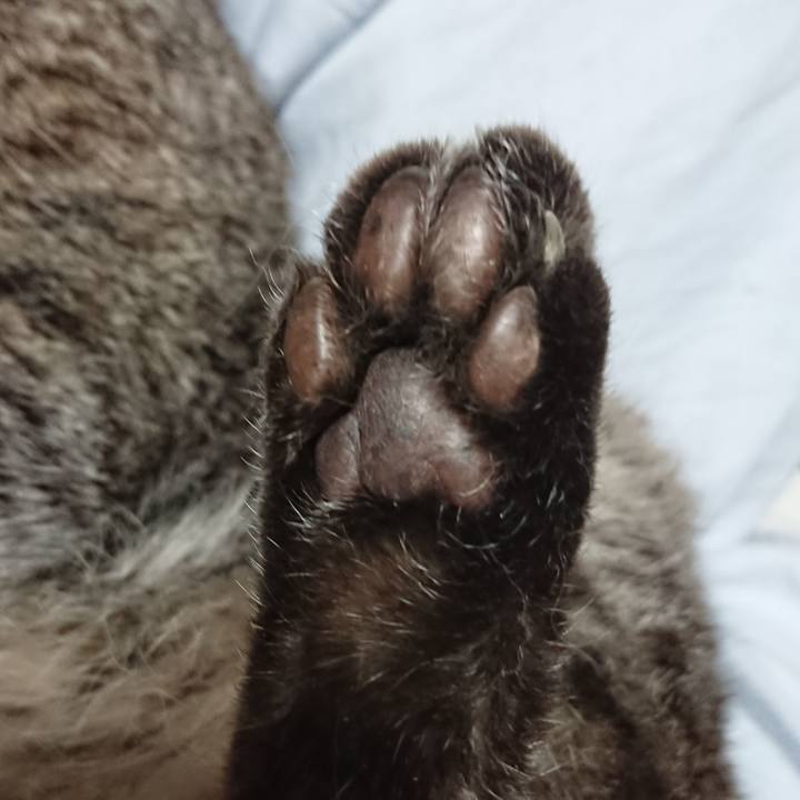 3bb34a24 06c9 4cfd a7be 6ba20025df7c 1572820811394