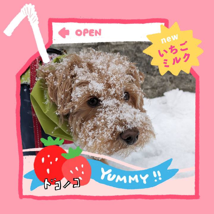 3bb34a49 cbb8 4096 8fd8 fd37f02697e5 1711056547079