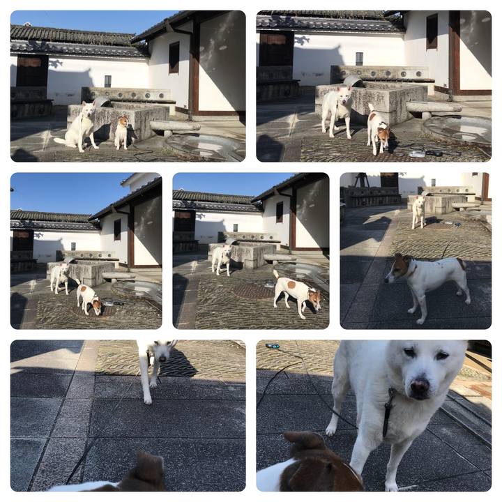 3bb35cc6 d001 4d44 b0ea ec4ed78ccc39 1520771629137