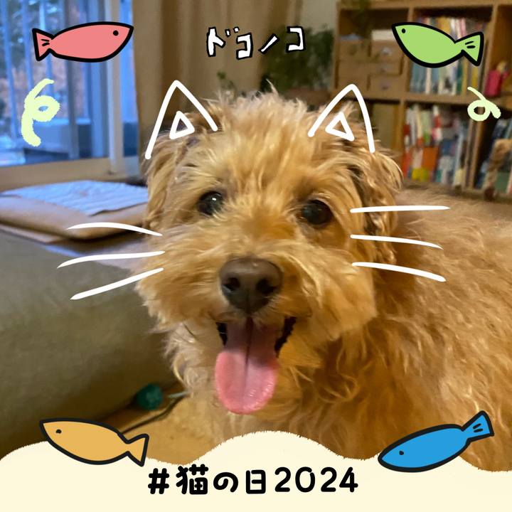 3bb370a2 4268 4592 bf57 75c1676ed0ae 1708601020580