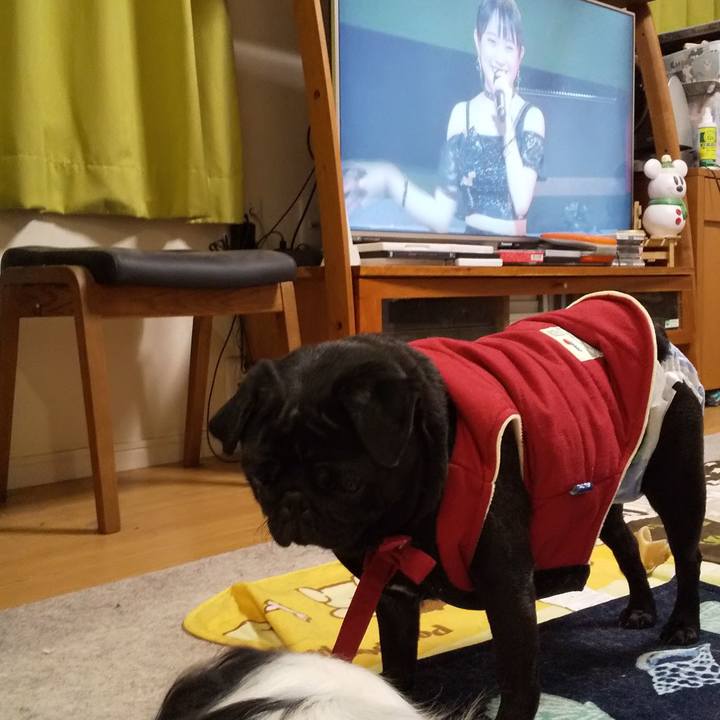 3bb38184 c66e 4470 9b83 55dcc1f67eeb 1577356447230