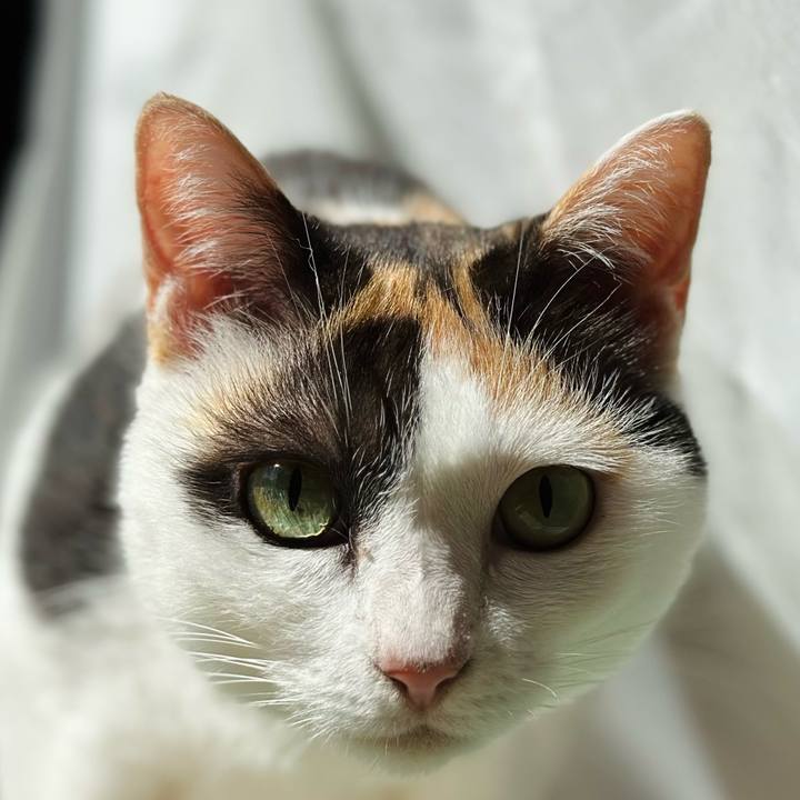 3bb38d4d b816 4d97 90f4 22a68bbebe22 1664589258030