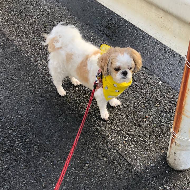 3bb3c160 2ba5 40a5 b7bd 3a6c9bfe6c64 1532825246215