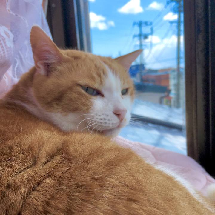 3bb3c80e 2f93 4880 b0d1 34e7bcfa1385 1586502847694