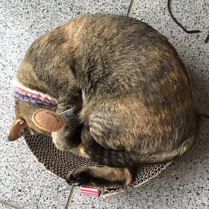 3bb40ac2 2603 4ee4 a405 3316cee2b4a7 1621668569674