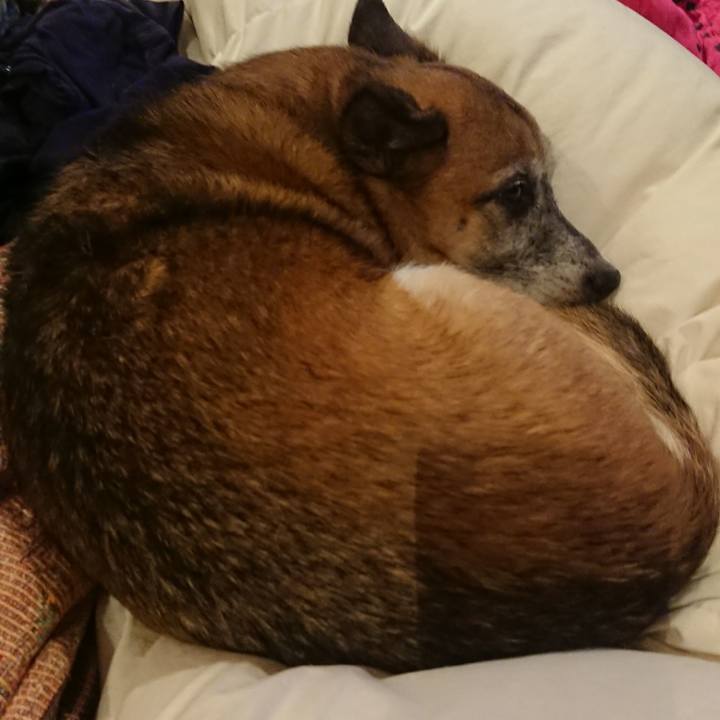 3bb40ebd 5430 43d0 85d3 0e261448e378 1509539078425