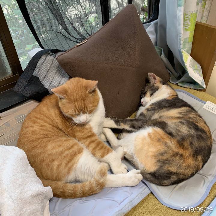 3bb46882 4995 4fe1 b009 c947d52ae51e 1569740837340