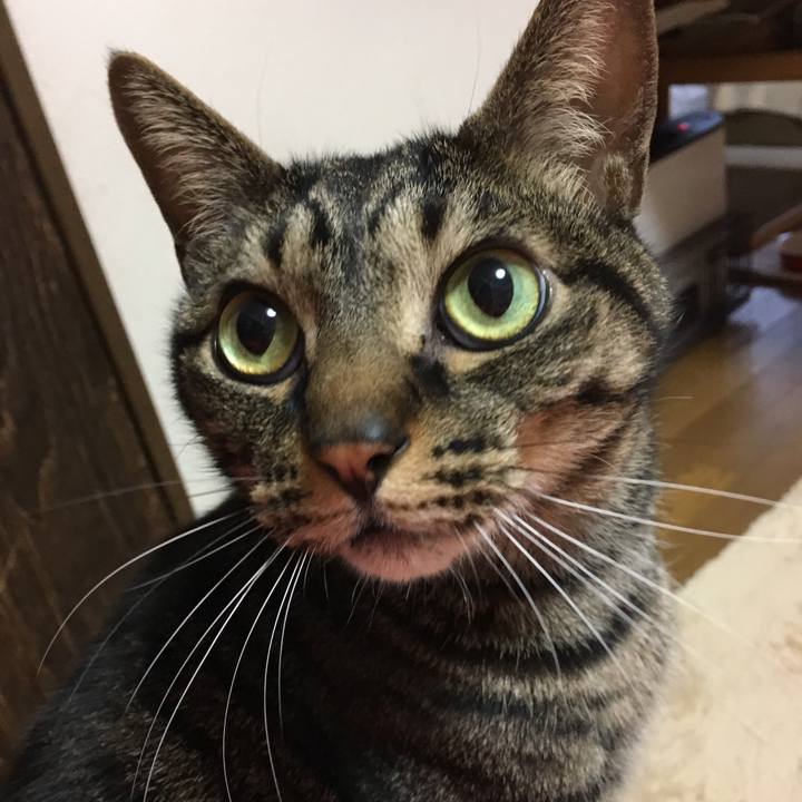 3bb47641 812c 4d94 8ecb 1fe1ac55c7c3 1520469685106