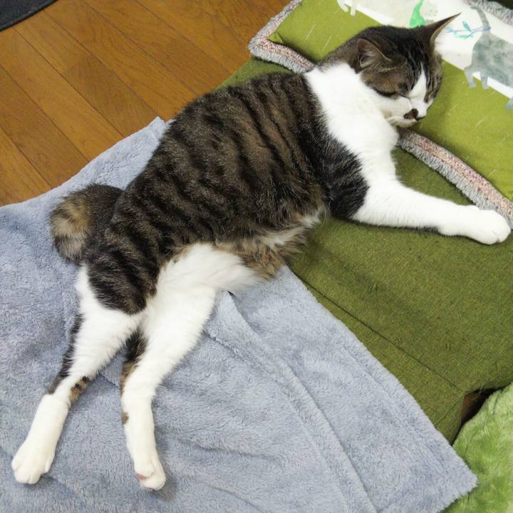 3bb4a688 04eb 4491 ac06 84f642b15c95 1652667404480