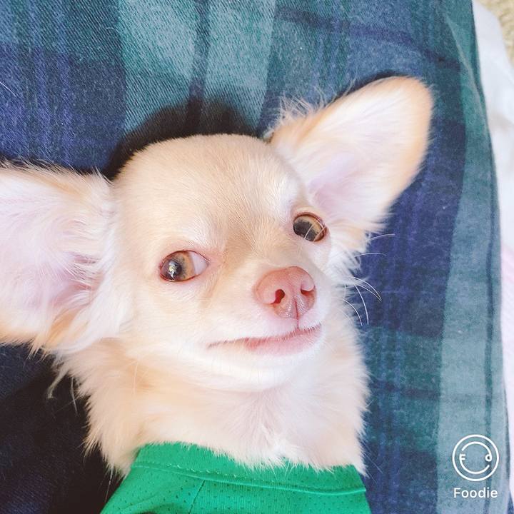 3bb4ea53 f96f 4bdd 8f22 af8a9dbeea66 1598775396641