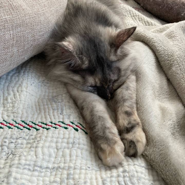 3bb4f749 8ba6 403d 92ad 1d440c3eff9d 1746251261988