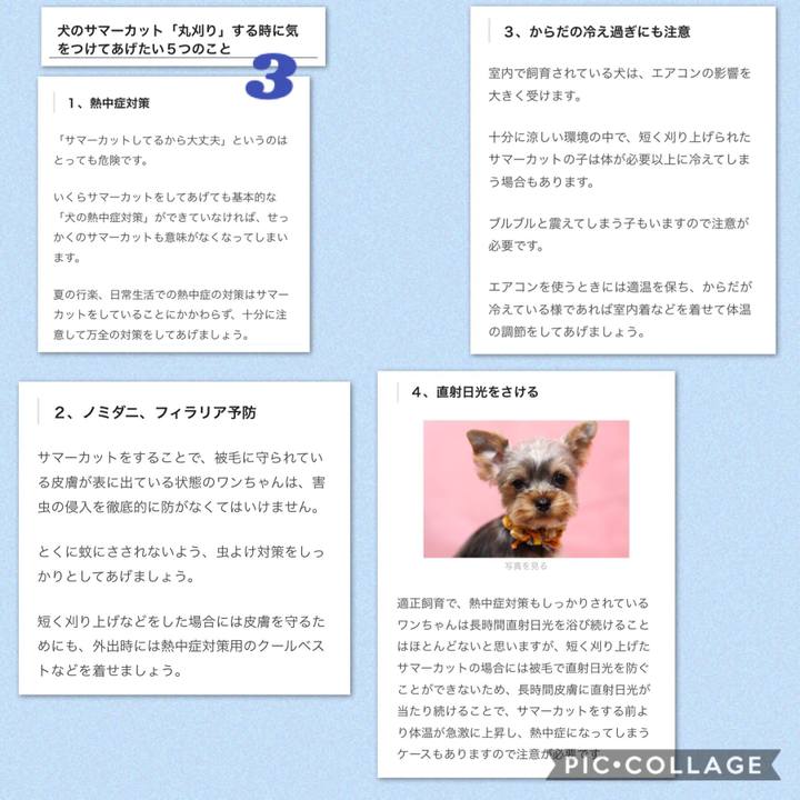 3bb5178b 3f7a 4e5d 9ae5 ddd9130cd5c8 1531704083641