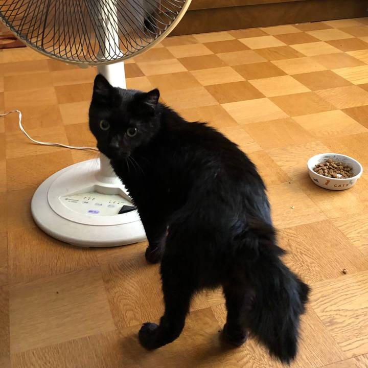 3bb53ea7 7583 4243 ac2c e8584aad4cd3 1567924443169