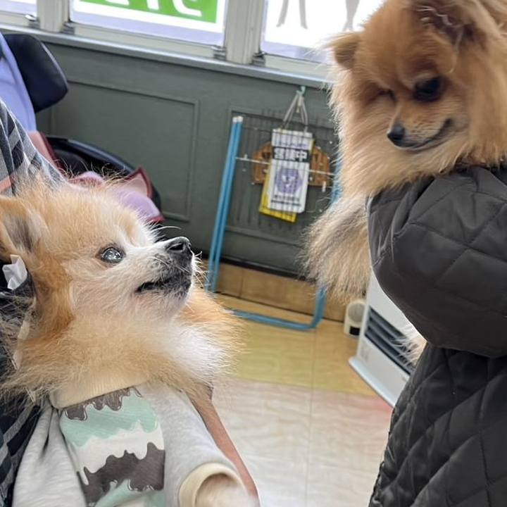 3bb5a71d 3406 46cd a35d cc0ef318ab33 1737453762279