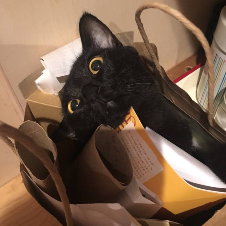 3bb5f7c5 ac94 4568 b63d f3836a7d967d 1569062586152