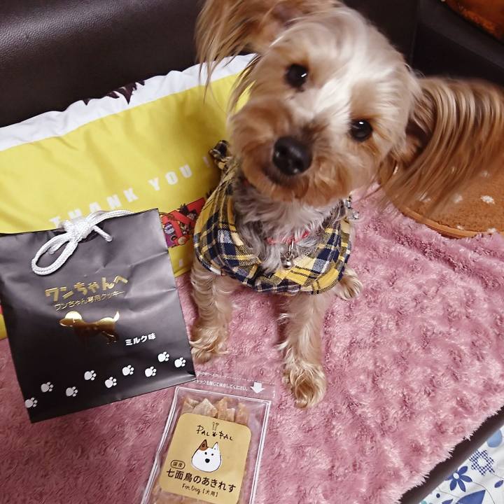 3bb68dba a13e 4ecf 8627 40f6dd8e8aba 1521201674682