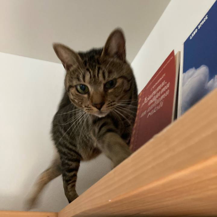 3bb6b3ce 98c0 436d 9de0 7c0fef708fa9 1691794919166