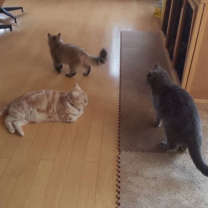 3bb6bd44 80b9 4adb a31b 1217c9127fc2 1556753418693