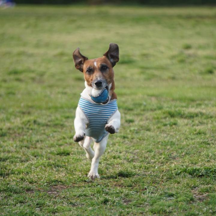 3bb6d7e1 a1d0 4d7d 8f7c 107382a8ae21 1555628373474