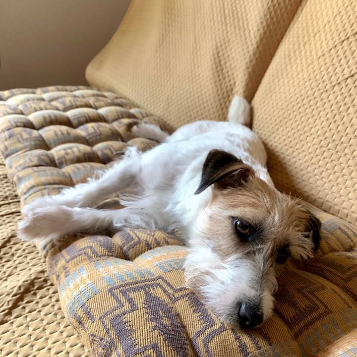 3bb70c2e 2681 4525 8644 342565d1243b 1652506551396