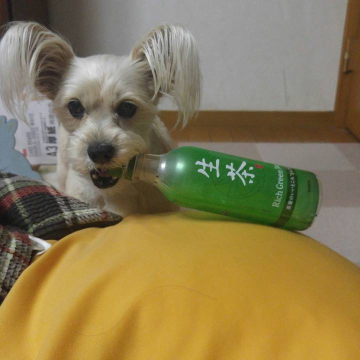 3bb72c13 c13a 4347 bdf9 a10835d6c3e0 1521460644415