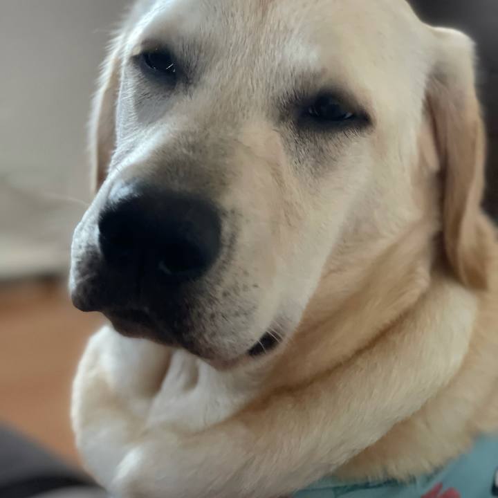 3bb7723b add5 4522 be45 39d15768eda1 1623887751802