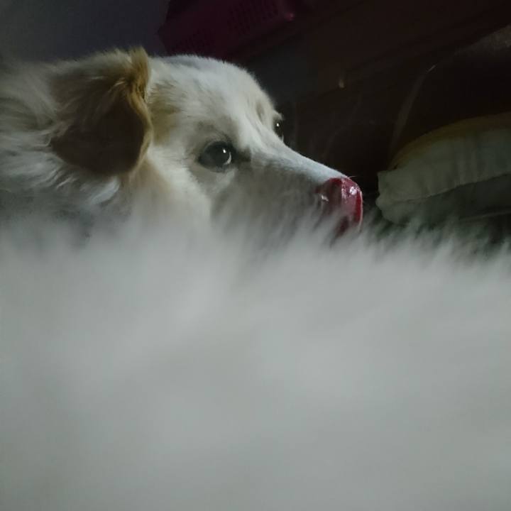 3bb78a8b 834d 4098 8503 1b90bc23fef0 1519334395262