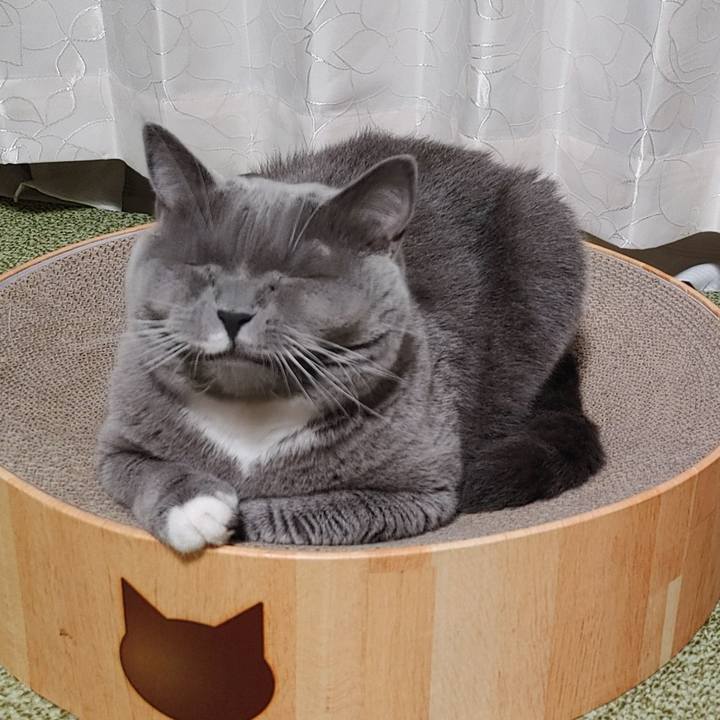 3bb7a274 9ca0 465b 8e9a d32491e1607d 1630620734235