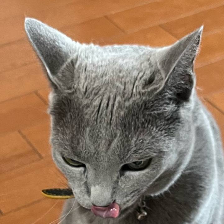 3bb7abd6 0f10 4b8c 90ec 4d6bce6f3af0 1723801164835