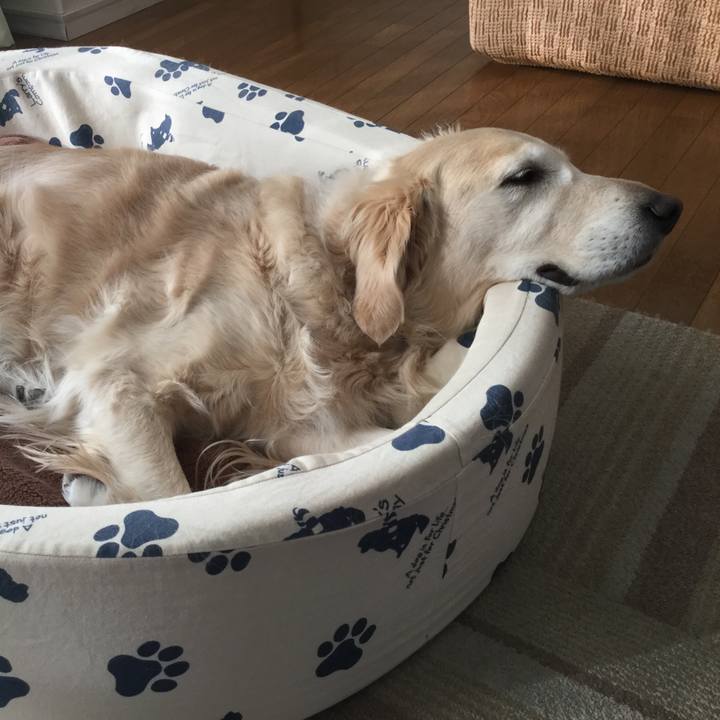 3bb7ae36 0295 4b54 9e98 87a98e970ad5 1548028799576