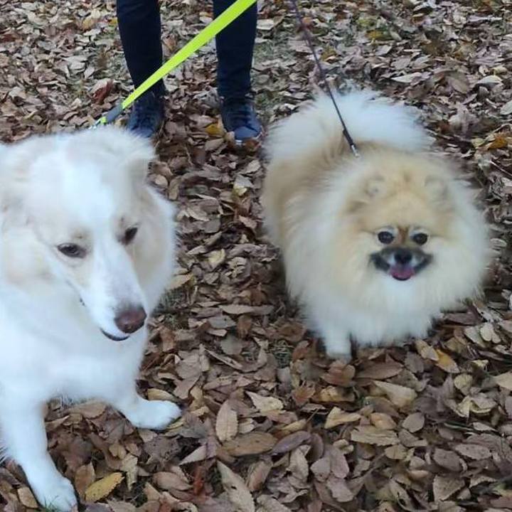 3bb7c66b d2fa 4b55 9120 babe42ad0164 1732939599425