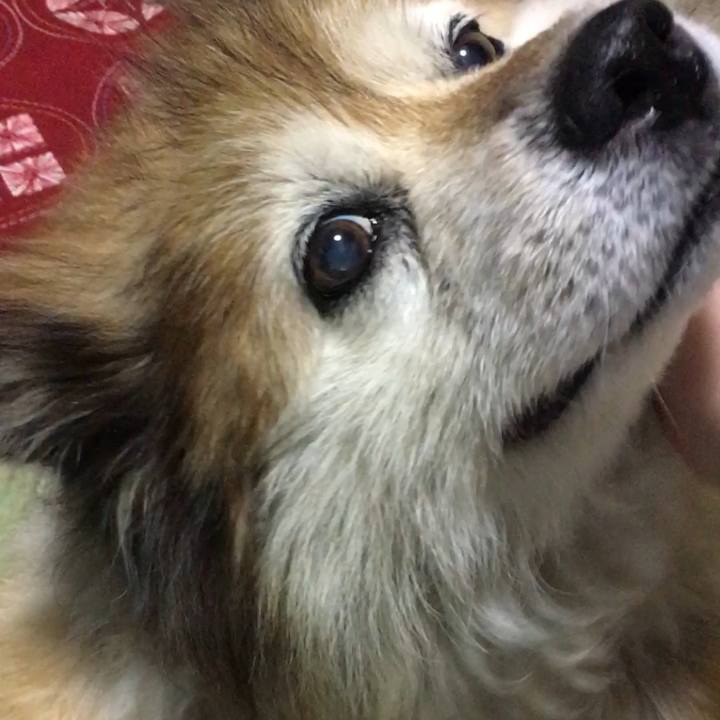 3bb7d07e ff8d 4cd1 95ce e21f96a8efc9 1562501907740