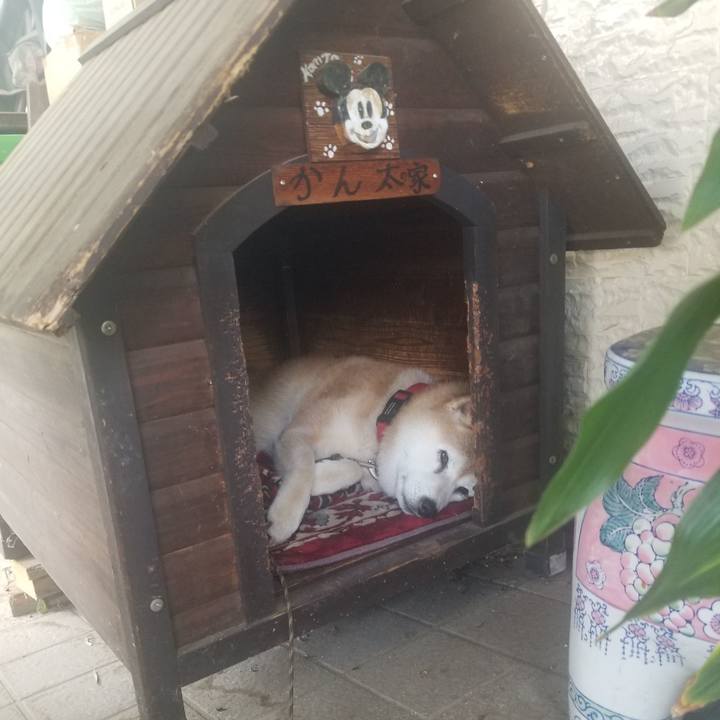 3bb7dd21 47fe 4a05 87a7 d0860b7bb7b4 1723419410067