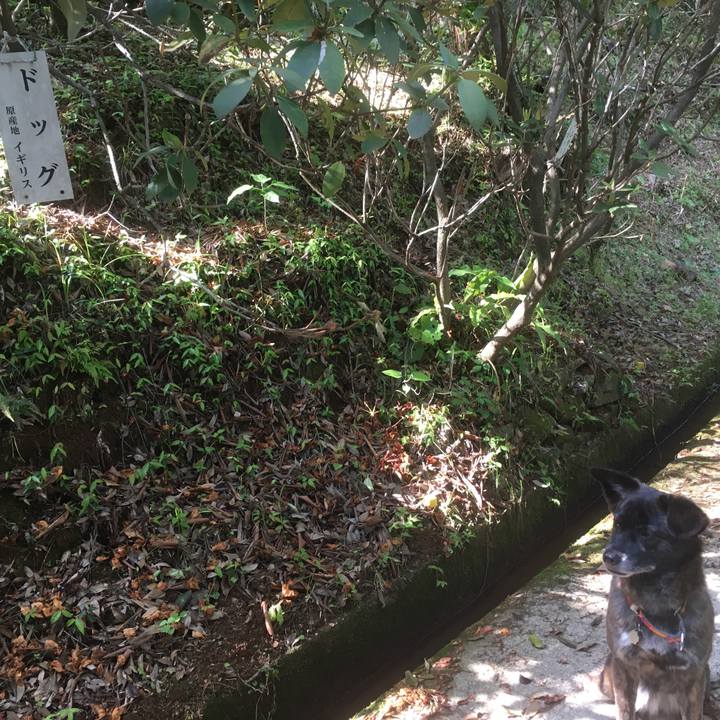 3bb7e0a2 53aa 4764 95ee e1be68385fd1 1528026694300