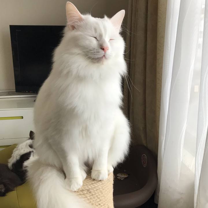 3bb80471 eb56 4d9a bbbf 3b1570ce1a25 1546948123523