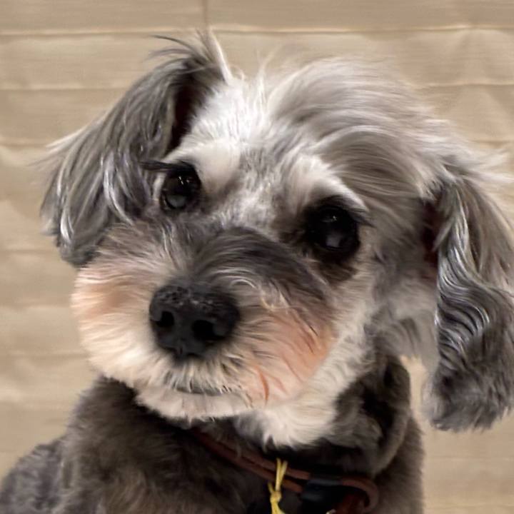 3bb8b4d6 63b3 4163 b7ab 7b7734e6d8b0 1762084819255