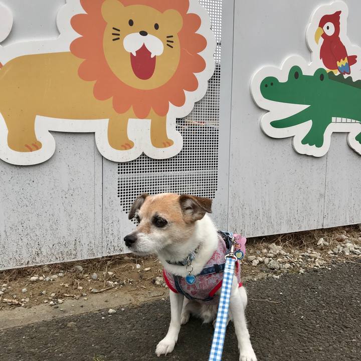 3bb8c066 e9db 424c abac 40b417e25fbc 1624781140281