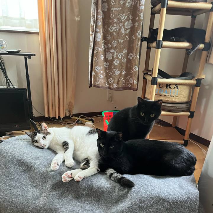 3bb8c1db 9c93 485c a138 d6c9b0f31fc5 1655941591747