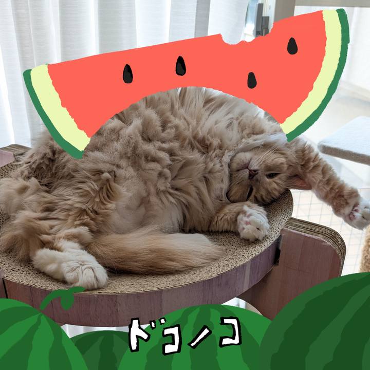 3bb8e777 404e 45ee aea8 03abb5cef1d7 1720772958258