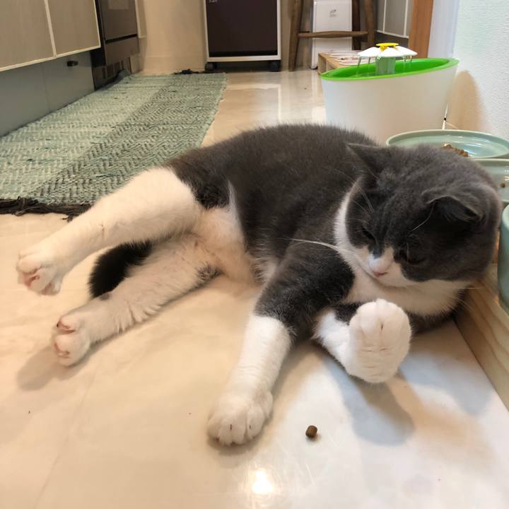 3bb91689 e30a 43b3 a90e 5aef283e78b9 1537576882420