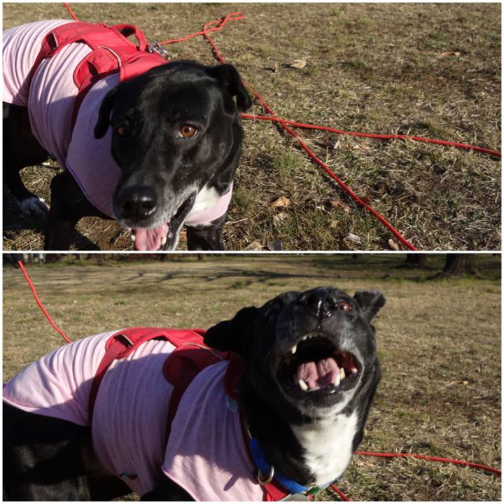 3bb92aa9 6051 4785 8b9a 0957272cee5a 1676860246489