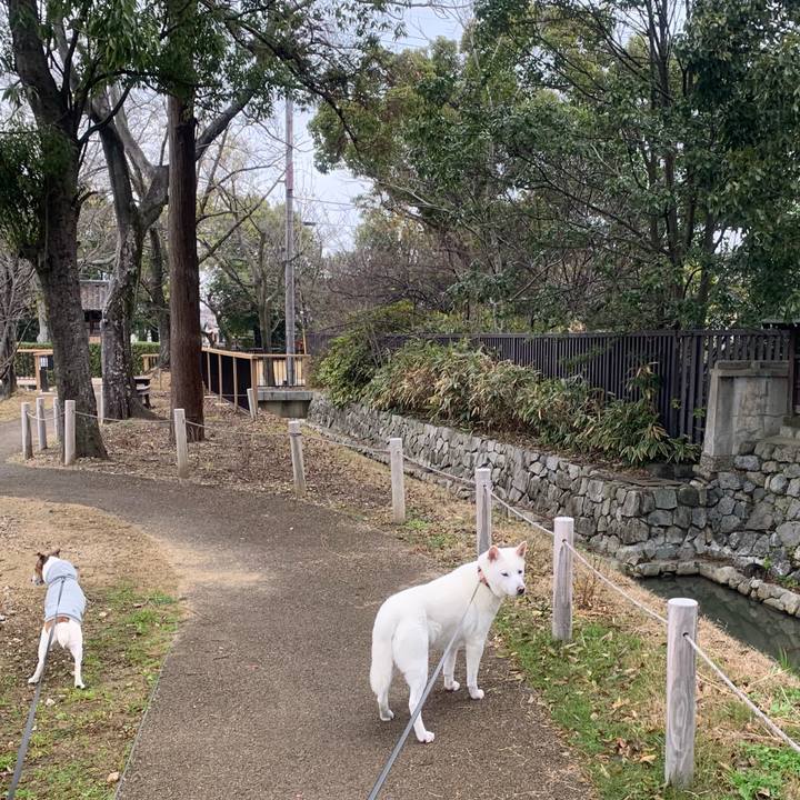 3bb92b64 fe94 444f a8a6 4ec097ba6089 1546741499666