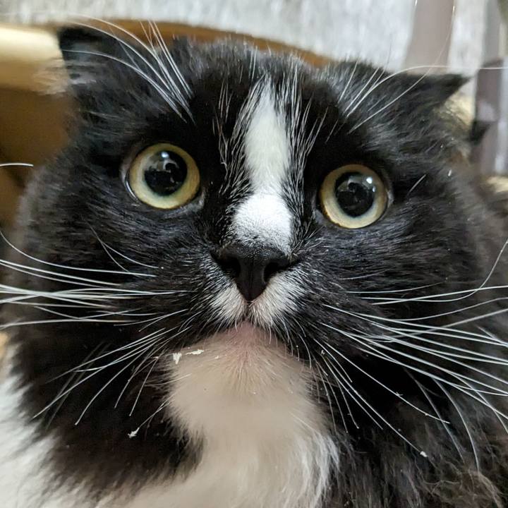 3bb94a7b eca8 4257 805d c4d8ba7e1c74 1708085248736