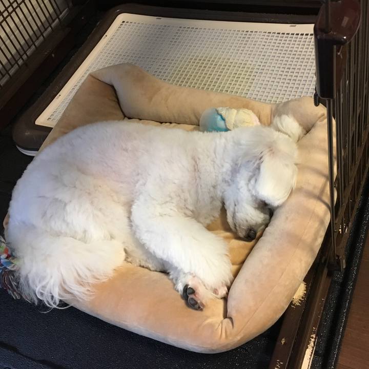 3bb9560d 0c5b 4af2 8cd3 7caab861b182 1507866624227