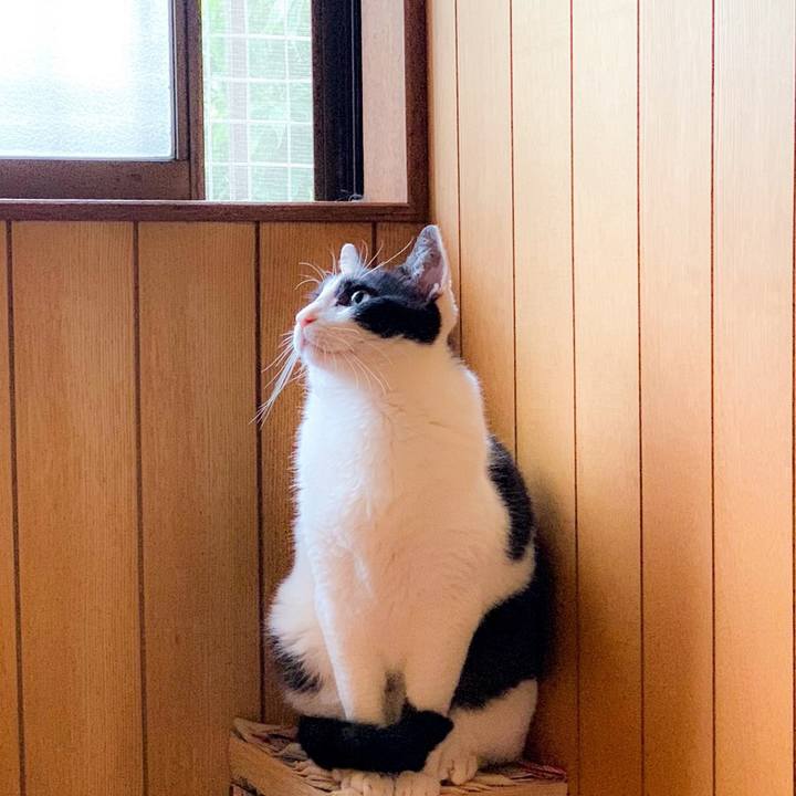 3bb9b23f 0ee4 403b 8582 d5fa2dc8aad4 1563415899210