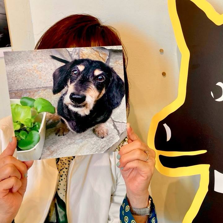 3bb9d0a9 6241 4e47 9e2b f53048ac7c62 1765374890276