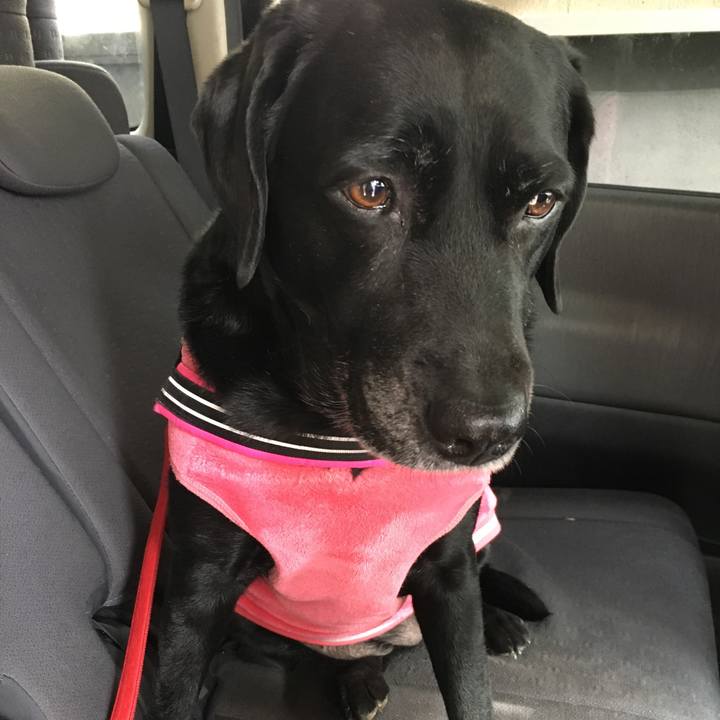 3bba07c7 3384 4cc6 85bc 9e1484a9a97f 1516007678783