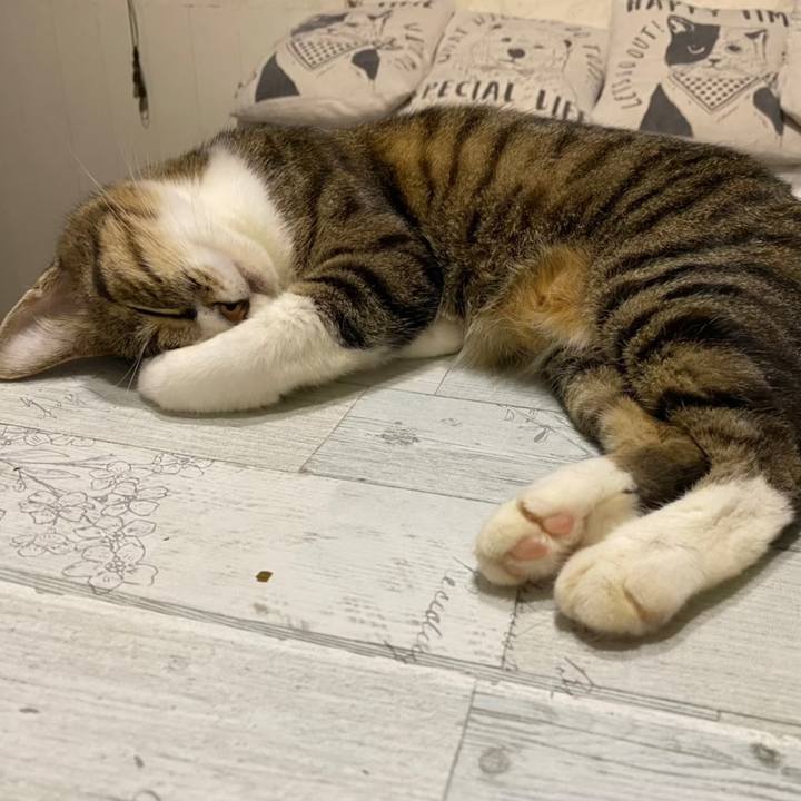 3bba7567 0454 4463 b232 e826e4e1709b 1666712264197