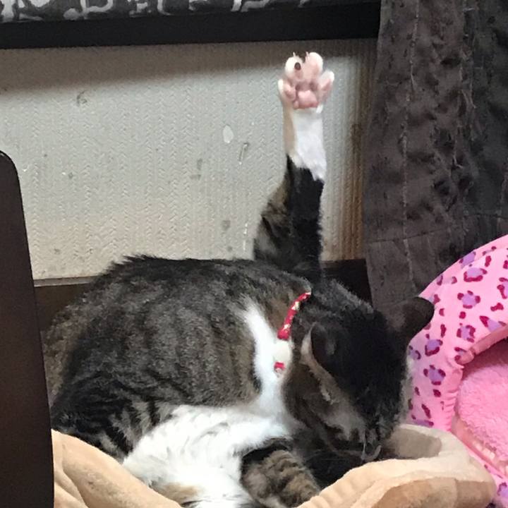 3bba822e 3282 4944 863e 4c04245e7969 1549012798921